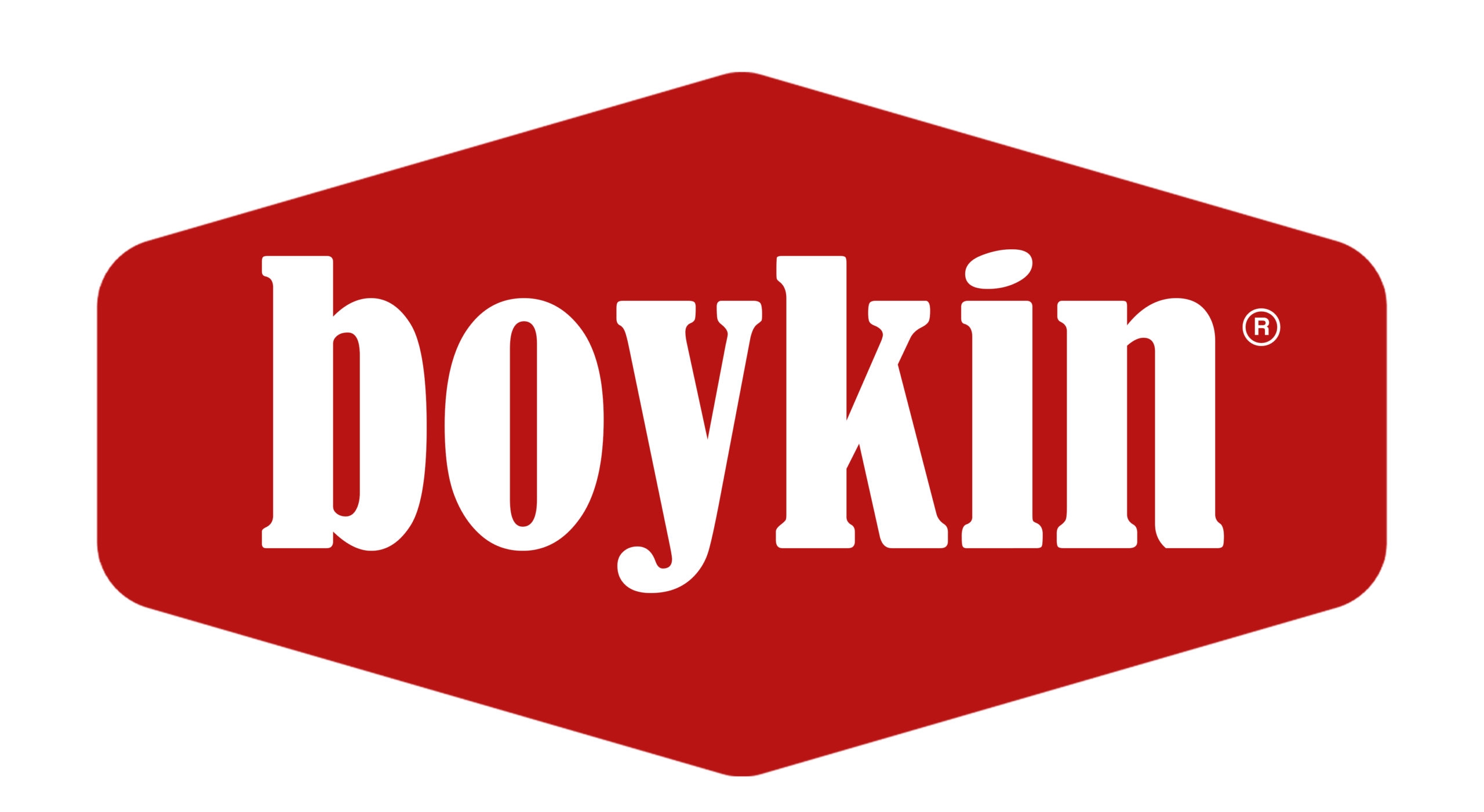 Boykin Information Technology LLC